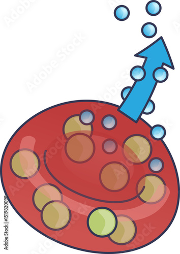 Illustration of oxygen molecules being released from a red blood cell to tissue.
