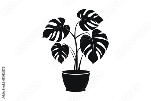 Monstera plant silhouette vector illustration on white background