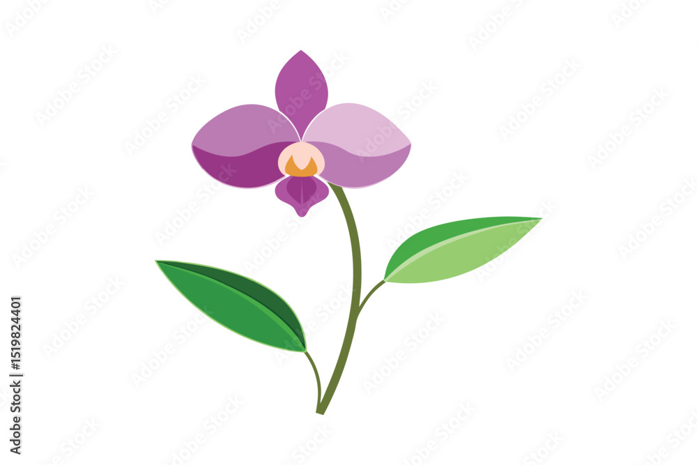 Orchid with stem and leaves on white background Orchid with stem and leaves on white background