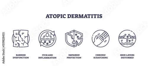 Atopic dermatitis is illustrated with outline icons showing skin barrier dysfunction, inflammation, scratching, and disturbed skin layers. Outline icons set