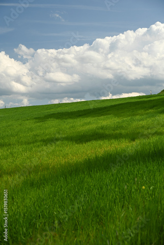 green field and blue sky