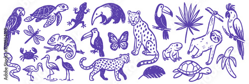 Doodle drawing of tropical animal and plant life for background or texture showcasing biodiversity species