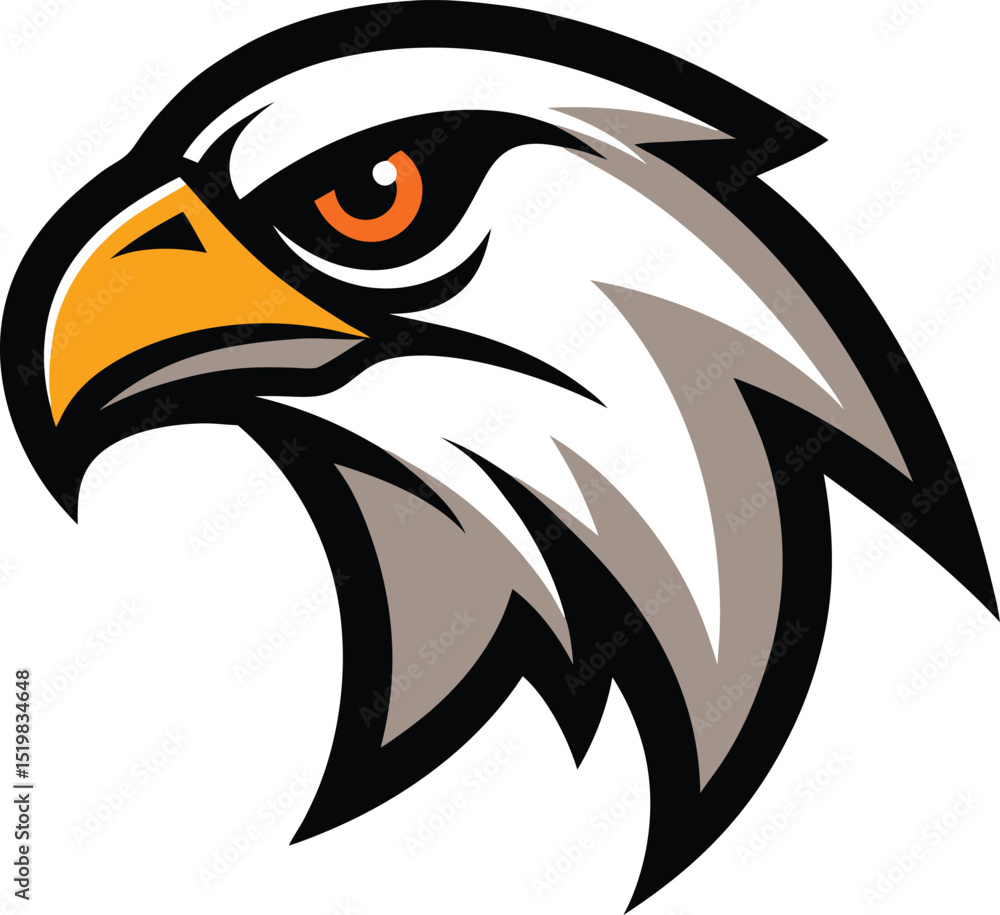 Obraz premium bald eagle head