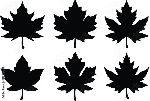 Vector set of black silhouette maple leaves in various styles, perfect for autumn graphics, seasonal designs, and Canadian-themed artwork