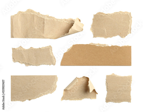 Assorted Ripped Kraft Paper Pieces