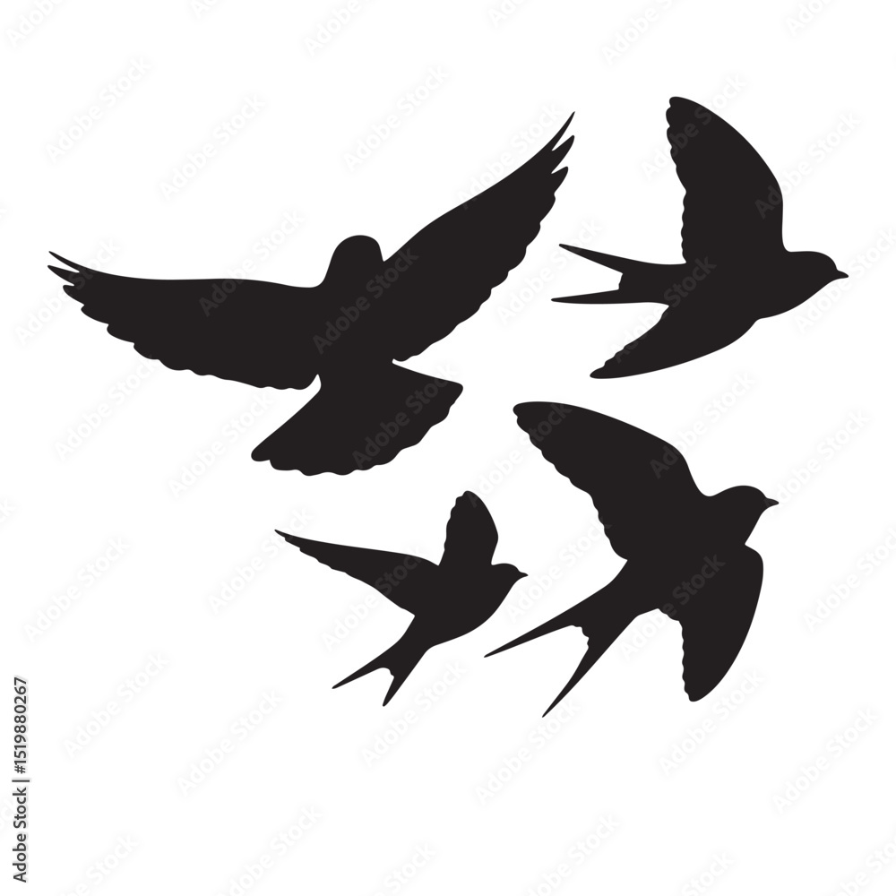 Obraz premium birds flying silhouette 