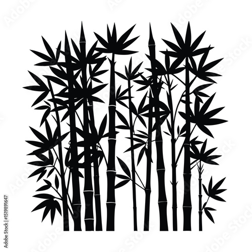 bamboo grove silhouette 