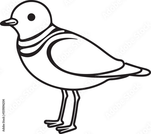 piping plover bird line art, black outline, vector and illustration, coloring book page line art drawing
