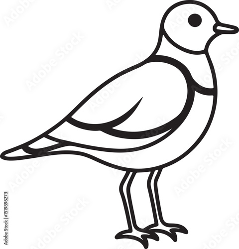 piping plover bird line art, black outline, vector and illustration, coloring book page line art drawing