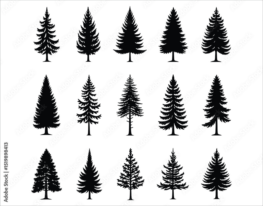 Fototapeta premium Douglas Fir Tree Silhouette Vector