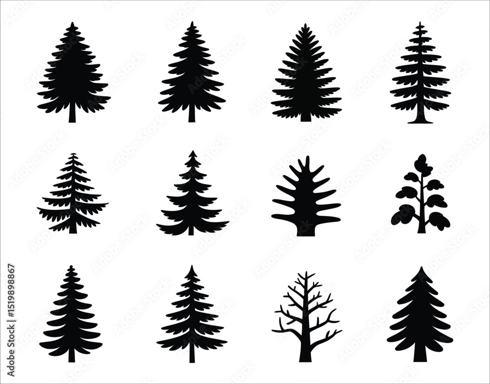 Obraz premium Isolated Douglas Fir Tree Vectors