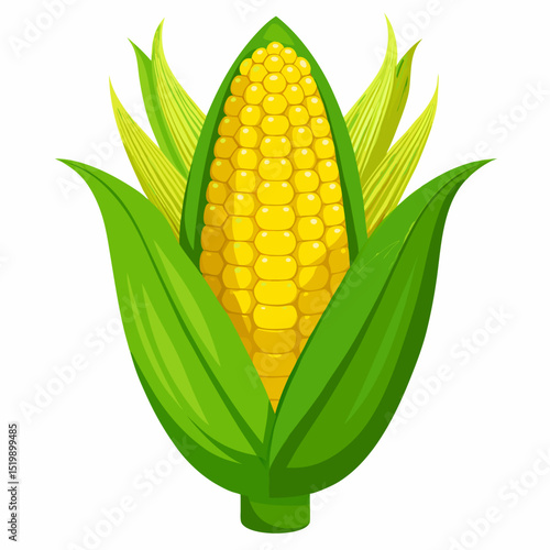 corn on the cob