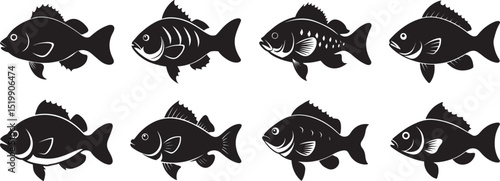 set of crappie fish silhouette, black and white silhouette, vector and illustration