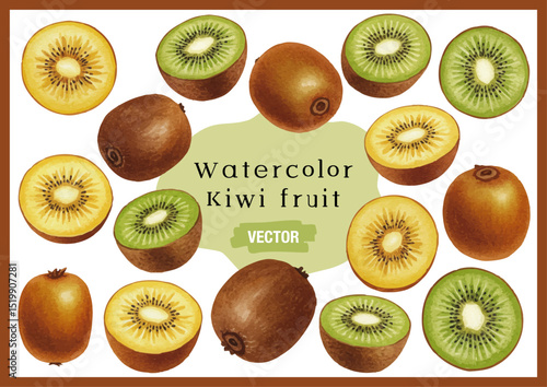 Vector watercolor Kiwi fruit / 水彩テイストのキウイイラスト