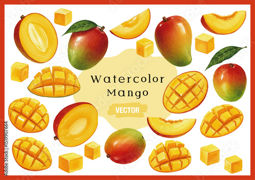 Vector watercolor Mango / 水彩テイストのマンゴーイラスト