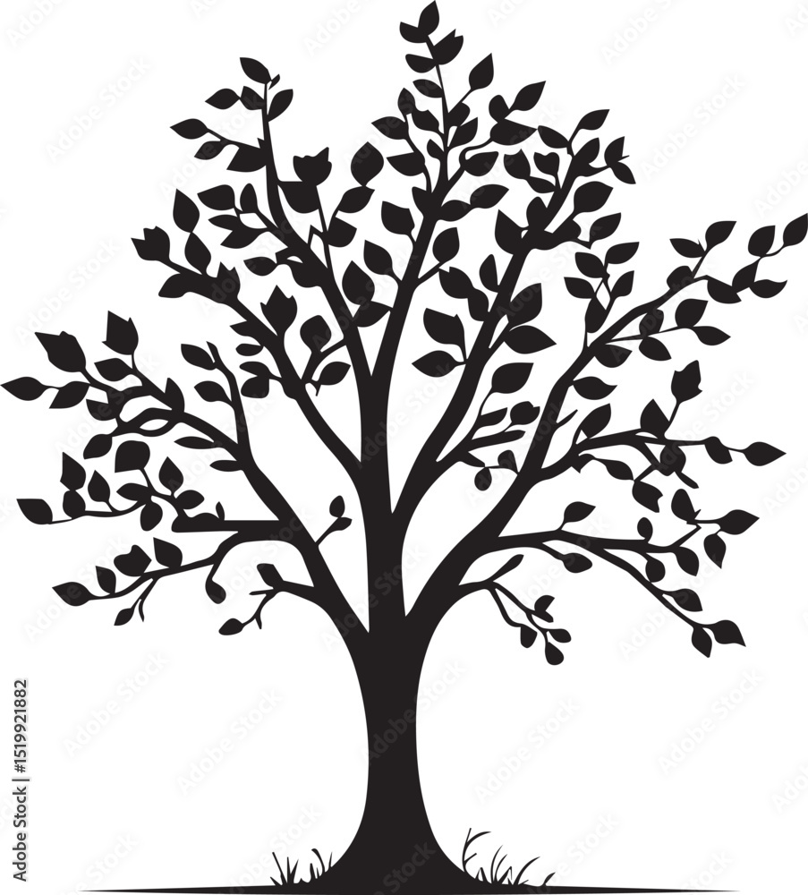 Obraz premium Maple tree with black leaves silhouette tree 