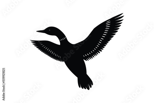 Loon silhouette  vector illustration, Set of  Loon silhouette