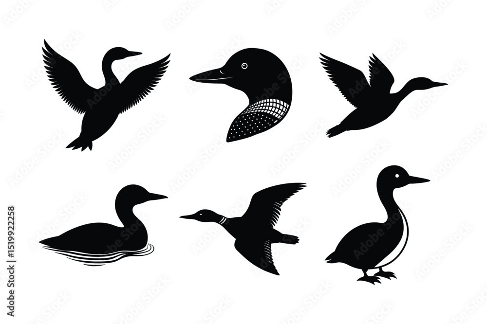 Fototapeta premium Loon silhouette vector illustration, Set of Loon silhouette