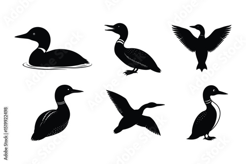 Loon silhouette  vector illustration, Set of  Loon silhouette