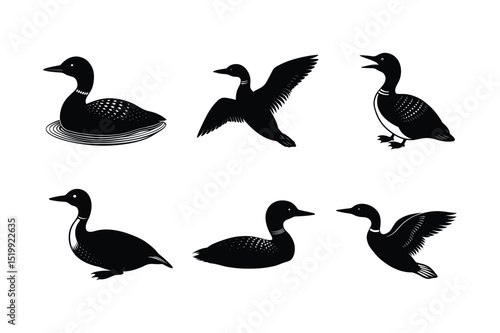 Loon silhouette  vector illustration, Set of  Loon silhouette