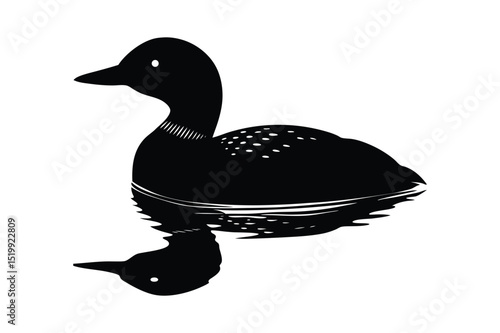 Loon silhouette  vector illustration, Set of  Loon silhouette