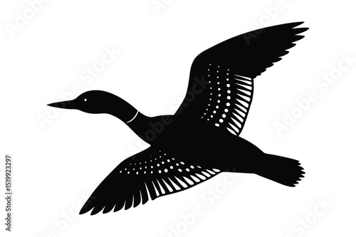 Loon silhouette  vector illustration, Set of  Loon silhouette
