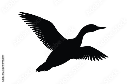 Loon silhouette  vector illustration, Set of  Loon silhouette