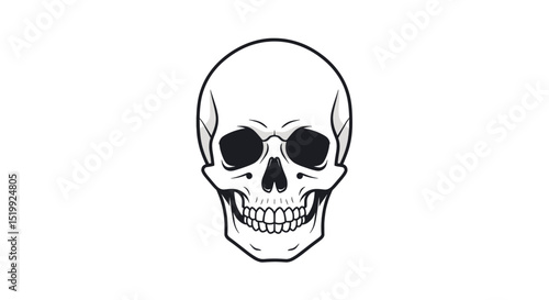 Detailed Skull Illustration with Symmetrical Design Isolated on White Background