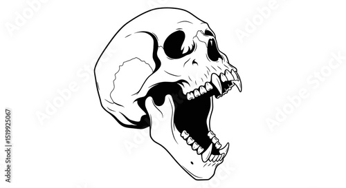 Detailed Illustration of a Roaring Primate Skull Showcasing Intricate Bone Structures Isolated on White Background