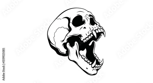 Detailed Illustration of a Monkey Skull Showcasing Intricate Bone Structure and Features