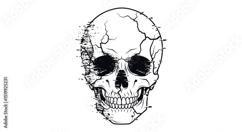 Detailed Illustration of a Human Skull with Cracks and Shading Isolated on White Background