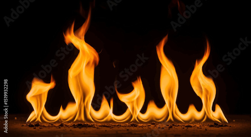 Dancing Flames: A Row of Fiery Tongues on Dark Embers
