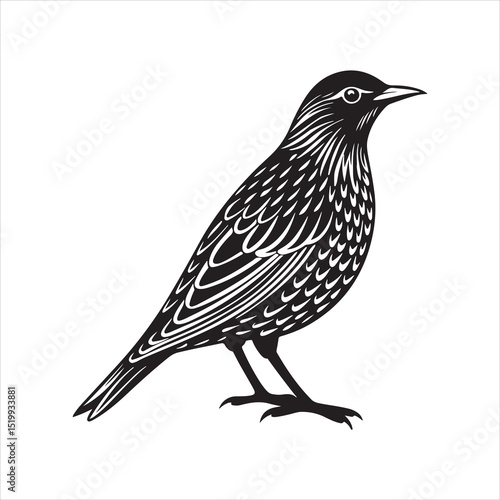 European starling line art silhouette