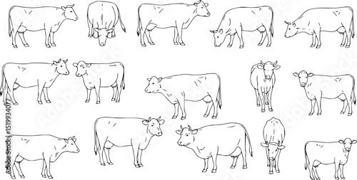 Cow, farm animal line icon.Black silhouette cow isolated on white. Hand drawn vector illustration.
