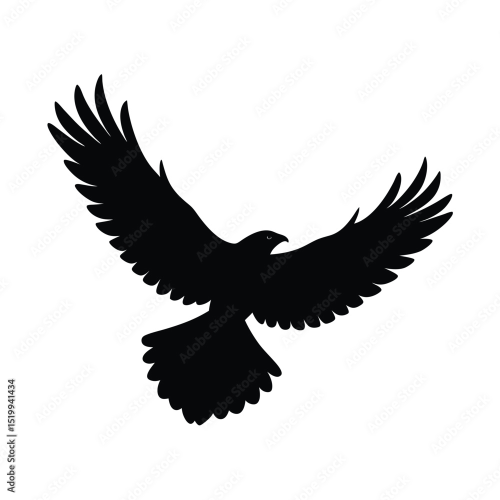 Obraz premium Soaring Hawk Vector Silhouette