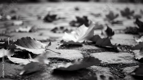 Abstract gray scale design