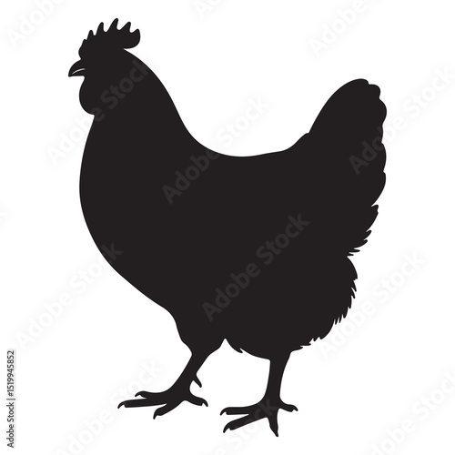 Rooster hen and chicken farm animal silhouette illustration on white background
