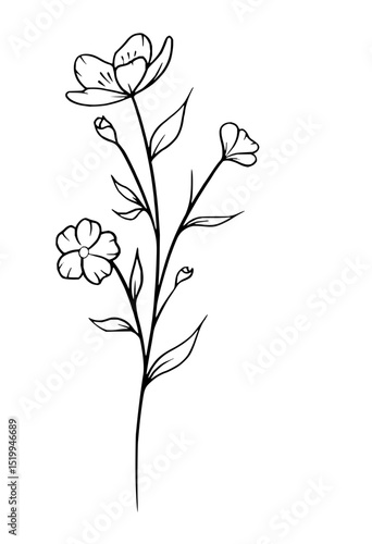 Minimilist simple botanical illustration of a flower stem with blossoms and leaves in black outline drawing style vector