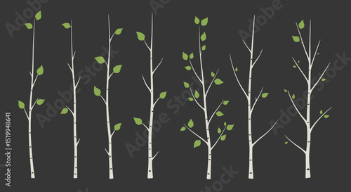 Collection of illustrated birch tree branches with leaves on black  