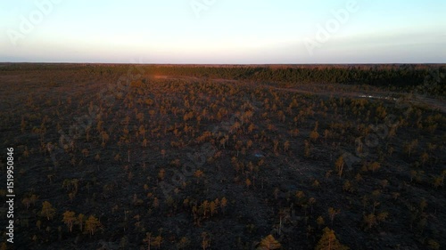 Drone footage of Riisa bog with natural wetland, ponds and forest in Soomaa National Park, Estonia.