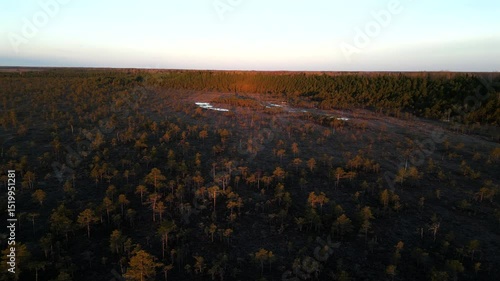 Drone footage of Riisa bog with natural wetland, ponds and forest in Soomaa National Park, Estonia.