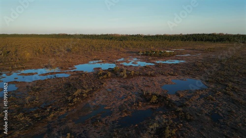 Drone footage of Riisa bog with natural wetland, ponds and forest in Soomaa National Park, Estonia.