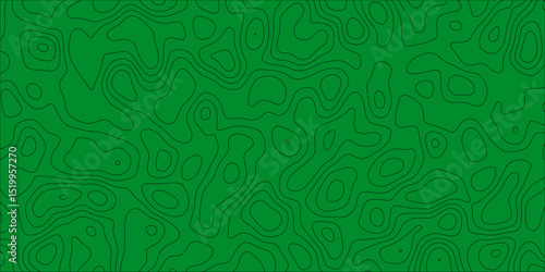 Curved line artwork inspired by abstract map contours

