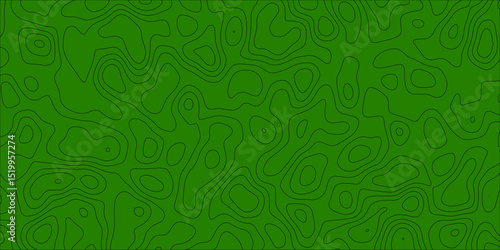 Curved line artwork inspired by abstract map contours

