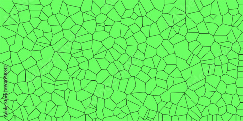 Abstract surface featuring thin lines and organic segmentation

