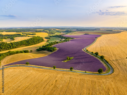Vue aérienne d'un champ de lavande en floraison sur le plateau de Valensole