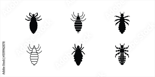 lice silhouette vector set hand drawn illustration on white background. insect vector set.