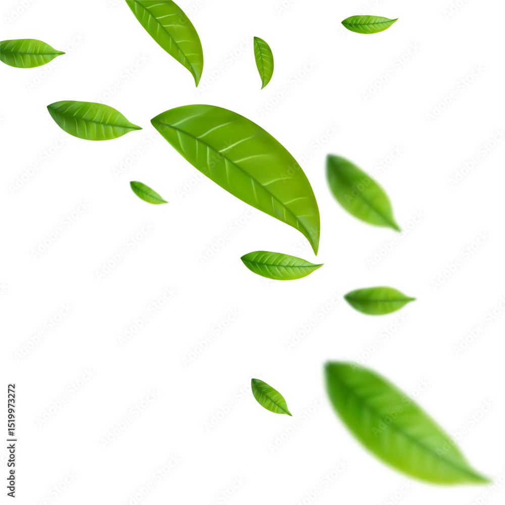 Naklejka premium Adobe Illustrator Artwork