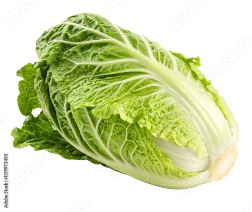 A healthy, fresh, raw head of green cabbage is isolated on white, a natural and organic vegetable ingredient for a nutritious vegetarian salad