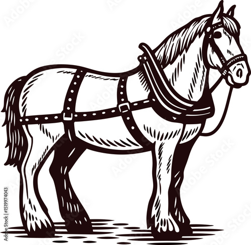 Hand drawn harnessed draft horse standing on ground vintage engraved illustration in black and white